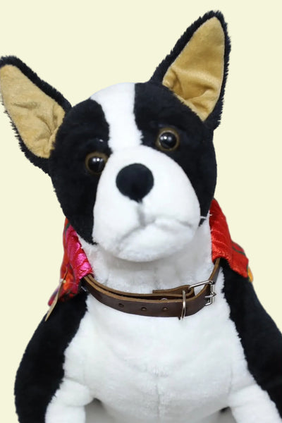 Embroidered Scarf Dog Collar