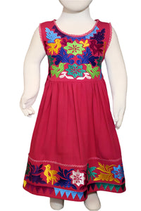Children's Embroidered Dress