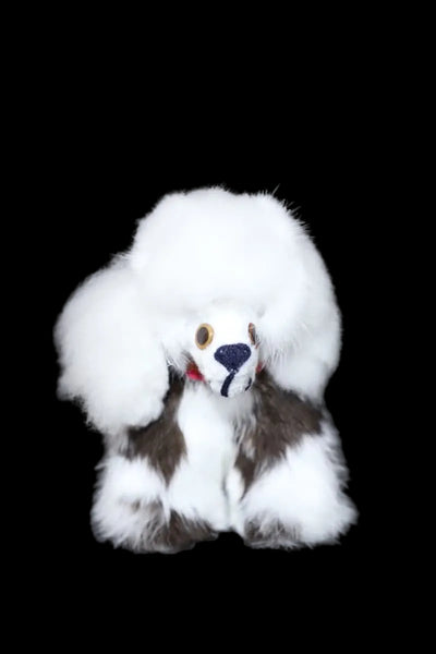 Alpaca Dog