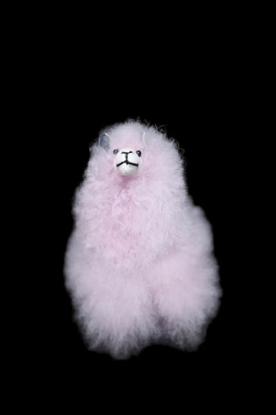 Fluffy Small Alpaca