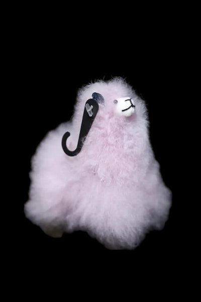 Fluffy Small Alpaca
