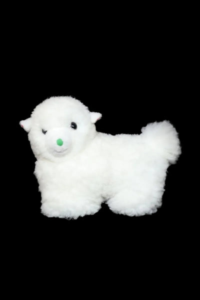 Alpaca Lamb