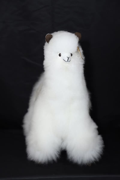 Alpaca