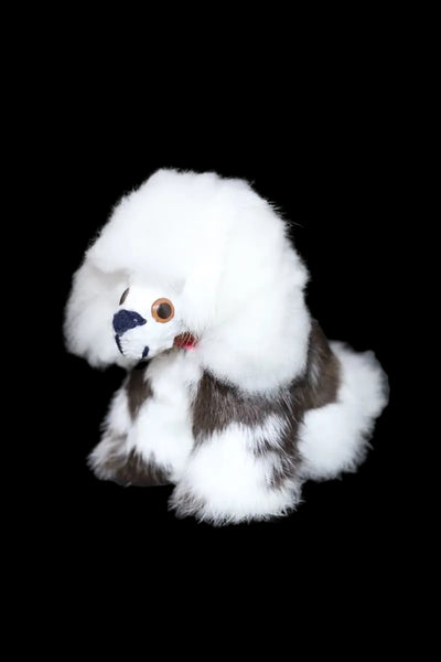 Alpaca Dog