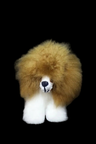 Alpaca Dog