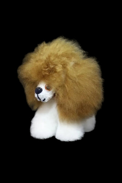 Alpaca Dog