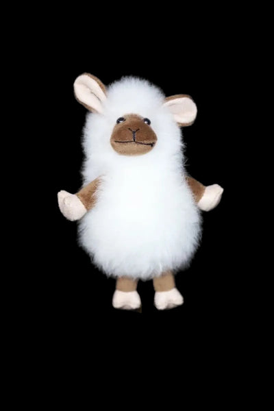 Alpaca Sheep