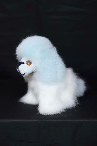 Alpaca Dog
