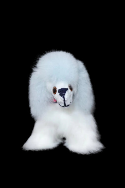 Alpaca Dog
