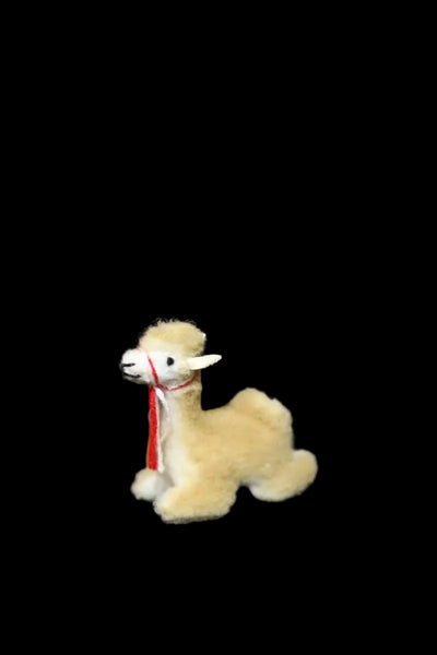 Small Alpaca